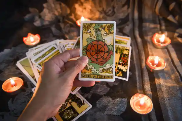 tarot cards Sheldon